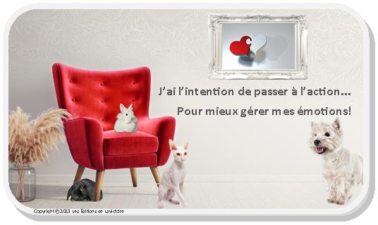 Cartes - Gestion des émotions